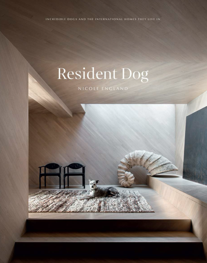 RESIDENT DOG: INCREDIBLE HOMES + THE DOGS WHO LIVE THERE
