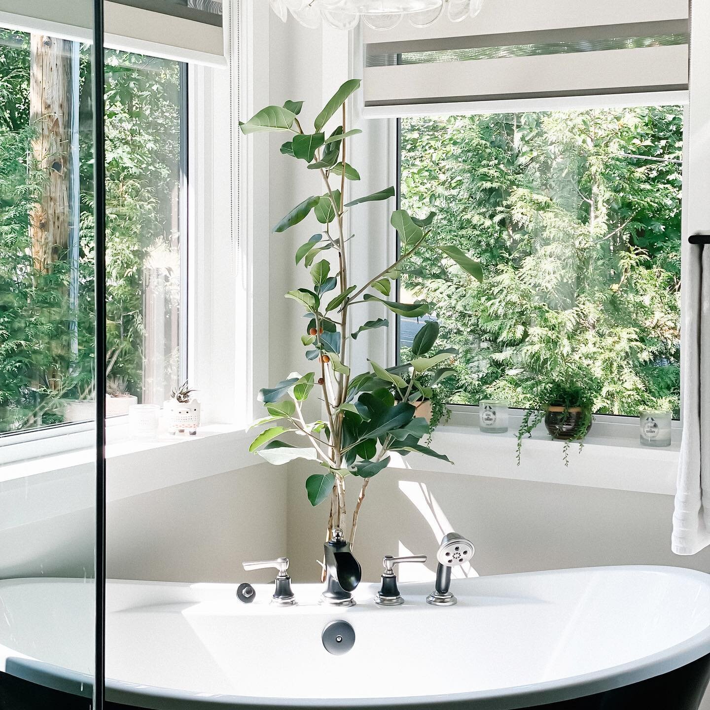 // ESCAPE // Nothing like bringing a little greenery indoors to create a dreamy escape within your space :: Still loving this ensuite setup in our clients home ✨

#interiordesign #interior #design #decor #sweet #escape #serene #ensuite #dreamy #agood